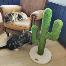 Cactus Kratzbaum für Katze 70 cm Braun