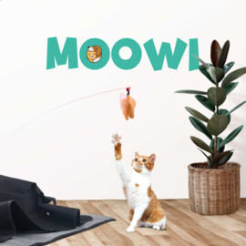 Moowi Hide and Seek katten speelkleed