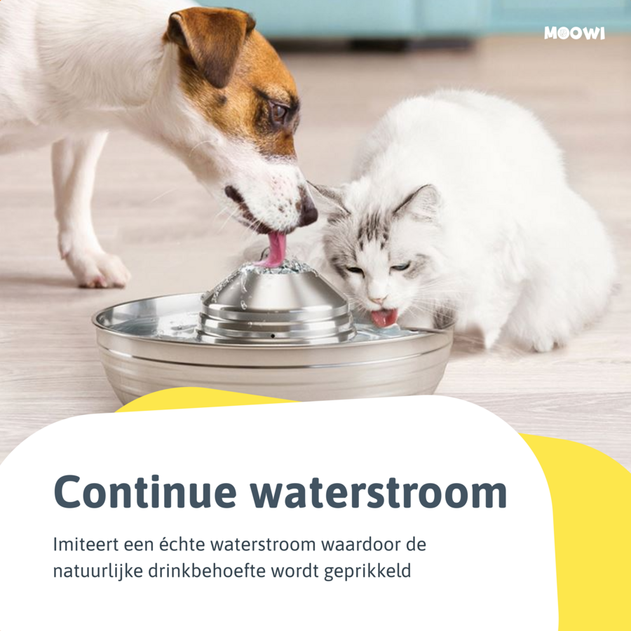 Drinkfontein kat incl. 3 filters - Waterfontein, Moowi.nl